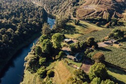 Arial shot of New Zealand growing acreage. Photo: courtesy of Zespri