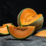 cantaloupe