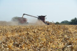 As corn prices climb past $4, the unprecedented harvest price momentum continues. What is driving the higher prices? Economists with the University of Tennessee Institute of Agriculture weigh in. 