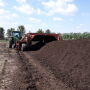Compost Pile
