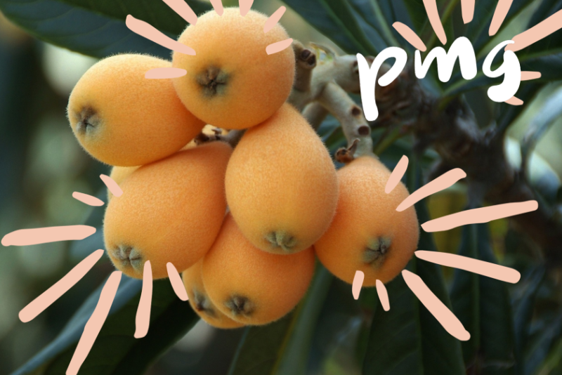 Loquats are trending on PMG