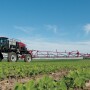 The U.S. EPA is still reviewing the dicamba federal label for 2022. 
