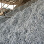 cottonseed_2011_-_Copy