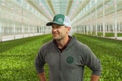 Tom Chapman standing in his lettuce greenhouse. Photo courtesy Revol Greens