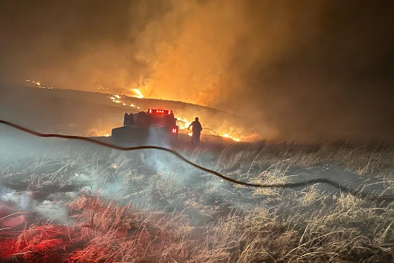 After Wildfire: Livestock Care, Documentation and Recovery