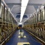 March milk production grew 0.5% versus the prior year, marking the ninth consecutive month of year-over-year growth.