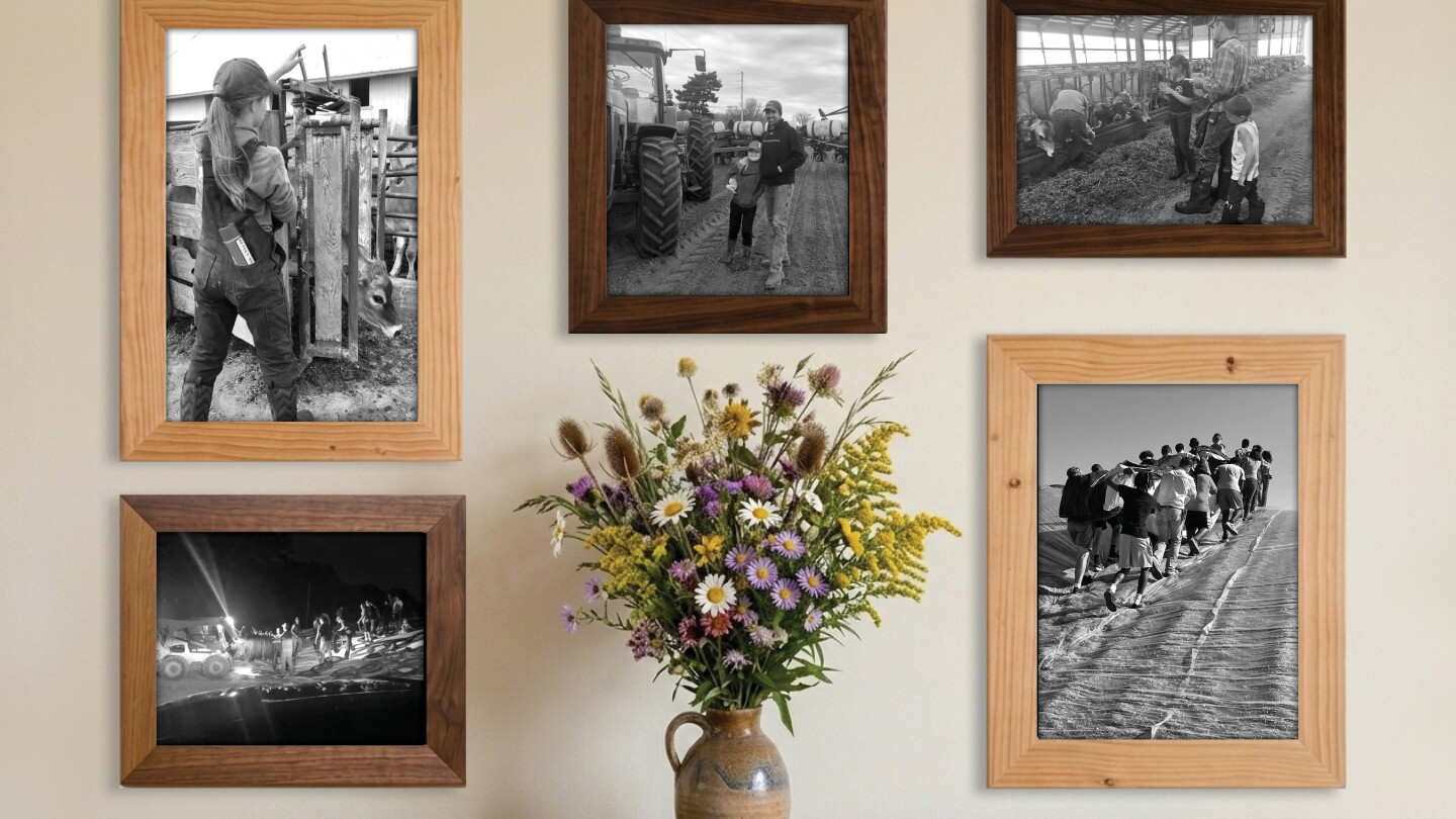 The Best Ordinary Tuesday: Finding Glimmers in the Grind - Dairy Herd