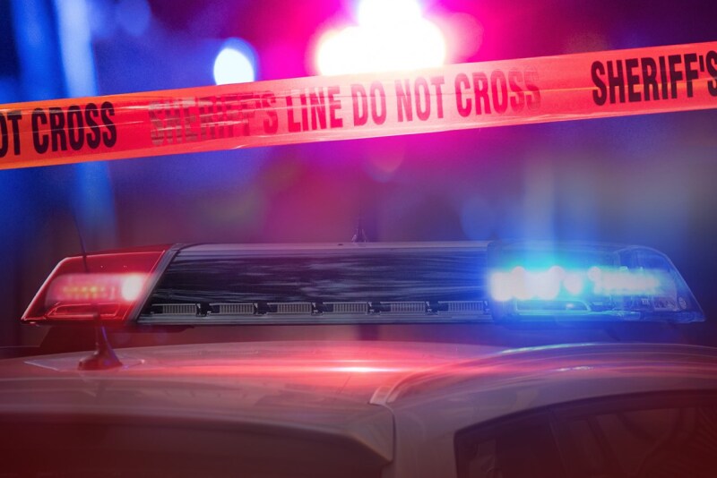 For the second time in less than a year, a couple in Louisiana has been arrested for fraudulent sales of cattle.