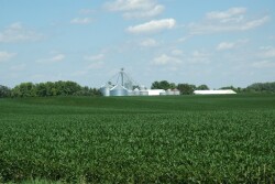 For combating SCN during the 2022 growing season, The SCN Coalition encourages growers to work with their advisors to select the appropriate SCN-resistant varieties. 