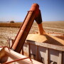 Corn harvest in Brazil