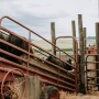 Livestock-specific custom services price ranges were collected in a survey in early 2023.
