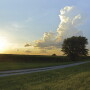 After a slow start to 2020 and a drastic drop in commodity prices, government payments combined with improving commodity prices could push 2020 net farm income to record levels. 