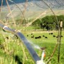 JA Land & Cattle, WY