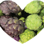 heart of artichoke