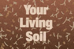 Your Living Soil