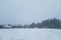 snow