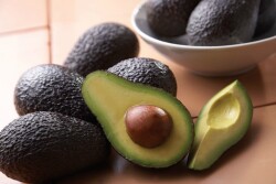 HAB-avocados-hass.jpg