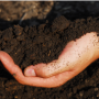 soil health
