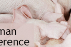 The 2019 program offers a host of invaluable swine-health topics for producers and industry professionals.