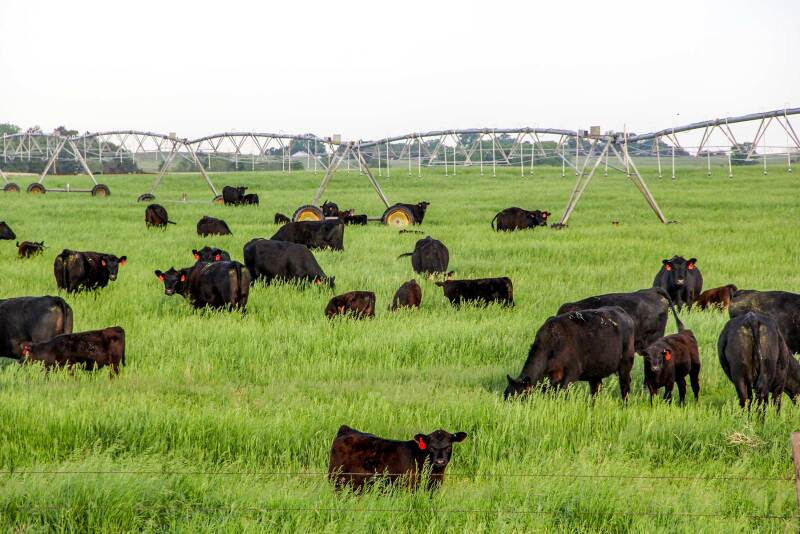 Zeman Ranch