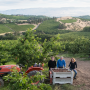 Orchard View
