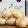 Vidalia onions