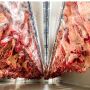 Beef Carcass