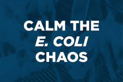 Controlling Escherichia coli