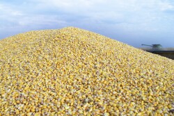 For the first time since the war started, a Ukrainian ship carrying grain left port. The UN says the Razoni was carrying 26,527 MT of corn. The vessel was stuck in port since Feb. 18, before the start of the war.
