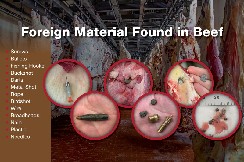 Foreign Material Examples Hidden Hazards: Now is the Time to Rethink Gun Use in Cattle Handling ...