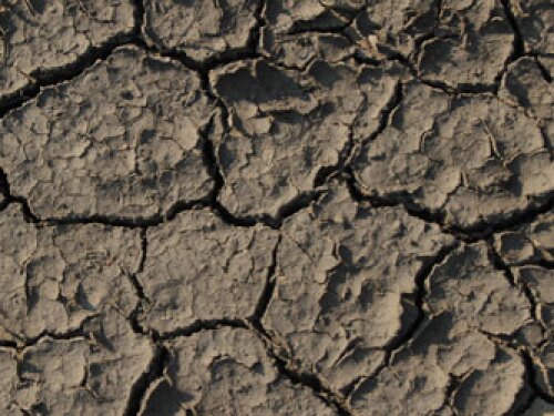 nebraksa-drought-soil-2013.jpg