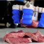 Soft Robotics Inc