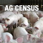 Keep reading for the top 10 pork-producing counties in the U.S., and more from the Census of Agriculture. 