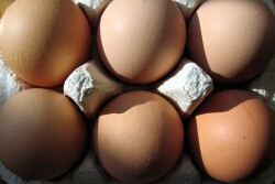 Egg prices are up 60% year-over-year. What's caused the big jump?  Jayson Lusk, head of the Department of Agricultural Economics at Purdue University, says the answer is simple: highly pathogenic avian influenza (HPAI). 