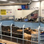 Blue Grass Stockyards