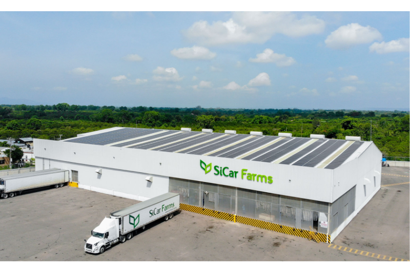 Sicar Farms solar.png