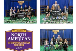 NAILE 4-H Livestock Contests