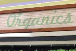organic-thumbnail.jpg