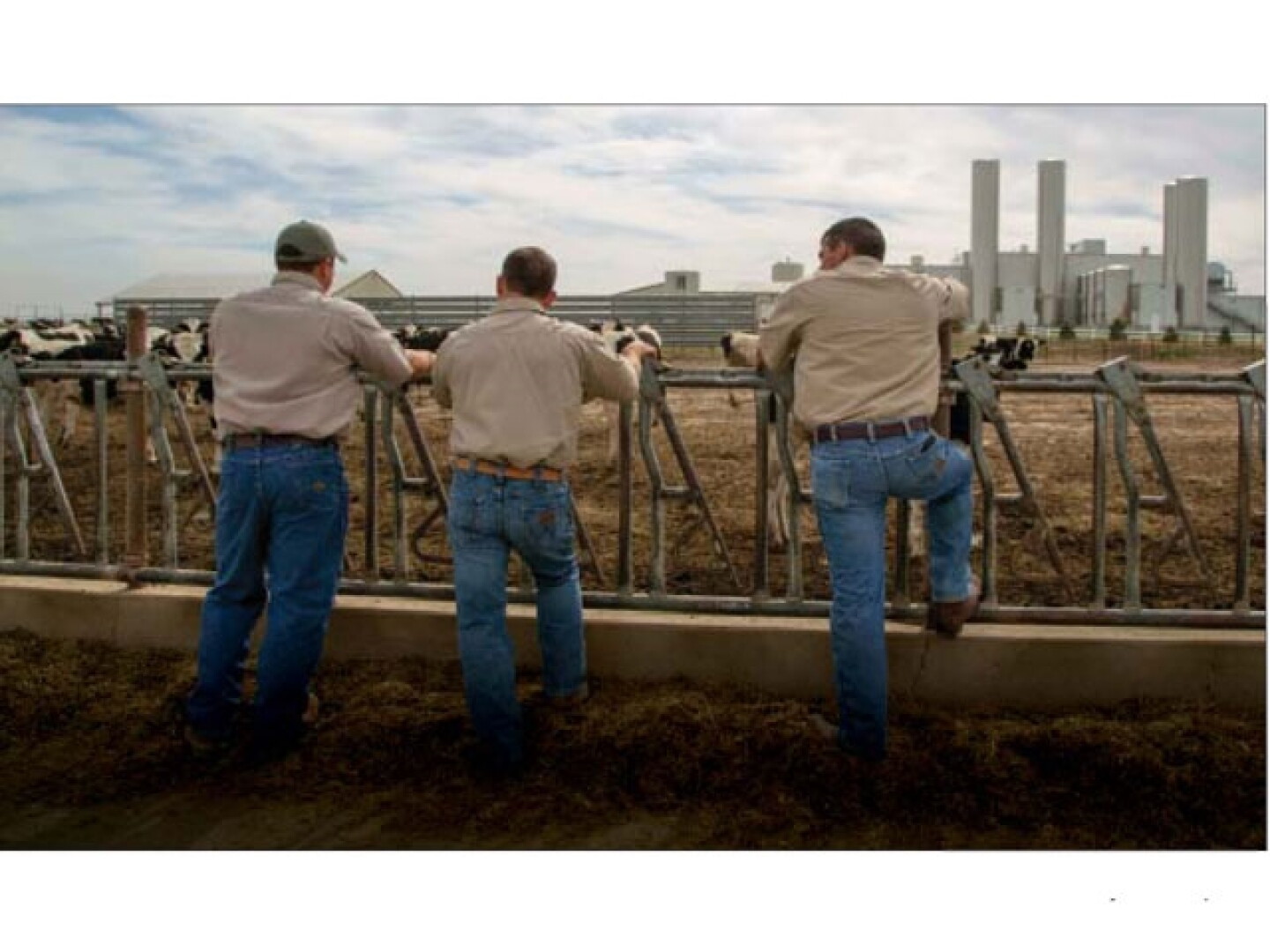 The McCarty brothers of Kansas—including Ken (left), David and Clay—supply milk to Dannon in part to connect with grocery buyers.
