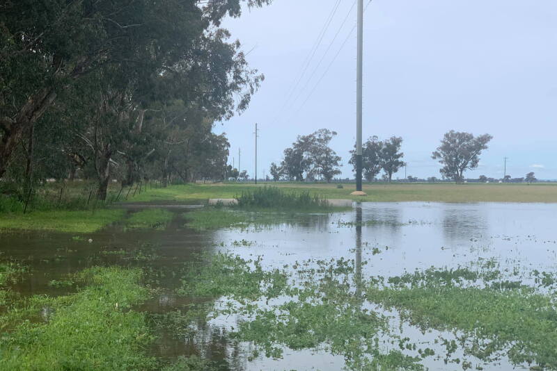 Riverdale Farm Australia flooding