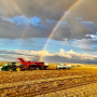 Work in Idaho potato field with a rainbow in the background