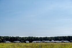 North Carolina Pig Farm