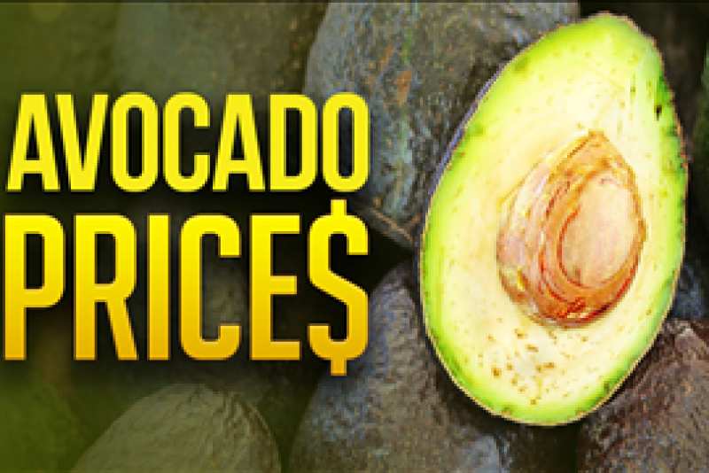 Think avocado prices are high? Blame demand...and an international crime ring!