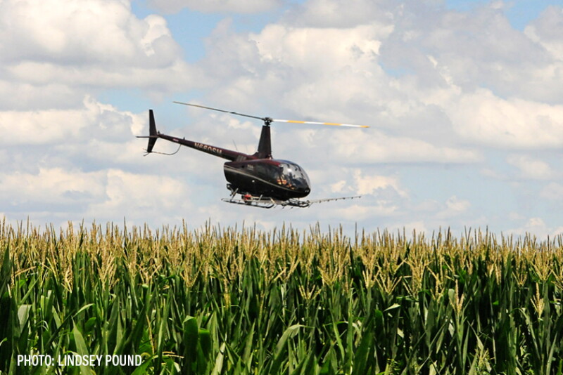 Breaking Down EPA's New Action Plan for Insecticides - AgWeb