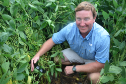 Peter Rost recently added cover crops to his farm and likes the soil health benefits he's seeing.