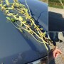 iowa_soybeans_crop_tour_2016