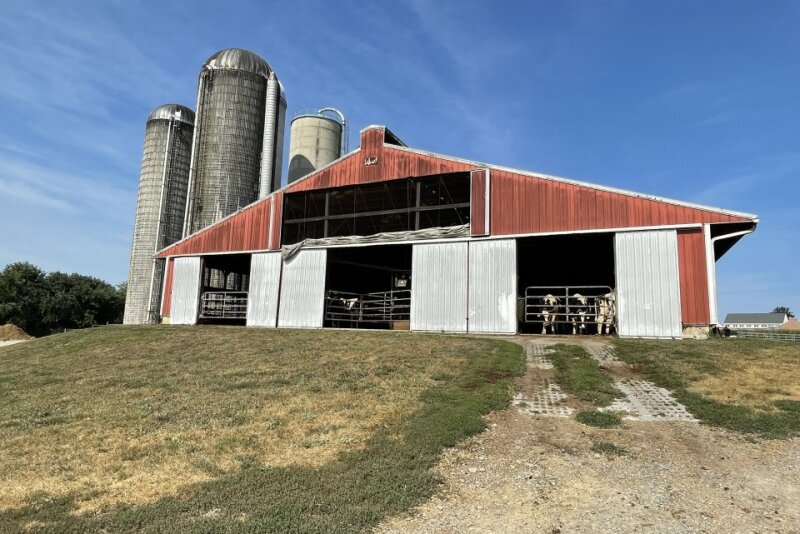 cow barn