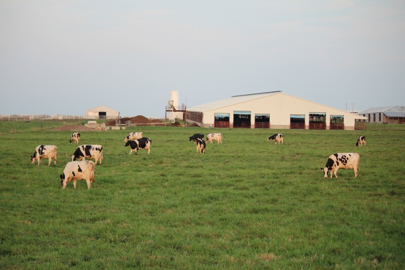 Fresh air is important to cow comfort.