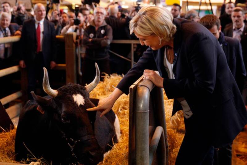 French far-right leader Marine le Pen touches the cow Fine, symbol of the 2017 Agriculture Fair, Tuesday, Feb. 28, 2017 in Paris.  Read more here: http://www.sacbee.com/news/business/article135397304.html#storylink=cpy