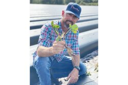 Chris Parks, manager of Wish Farms’ G&D Farms, shows off a strawberry plant.